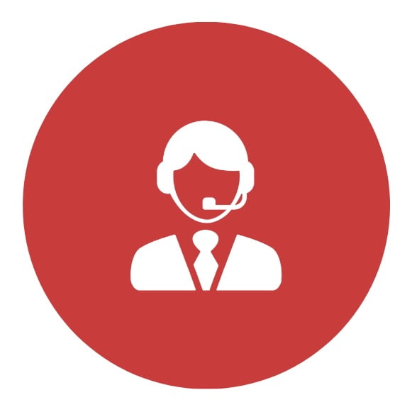 CS team logo Additional expert support